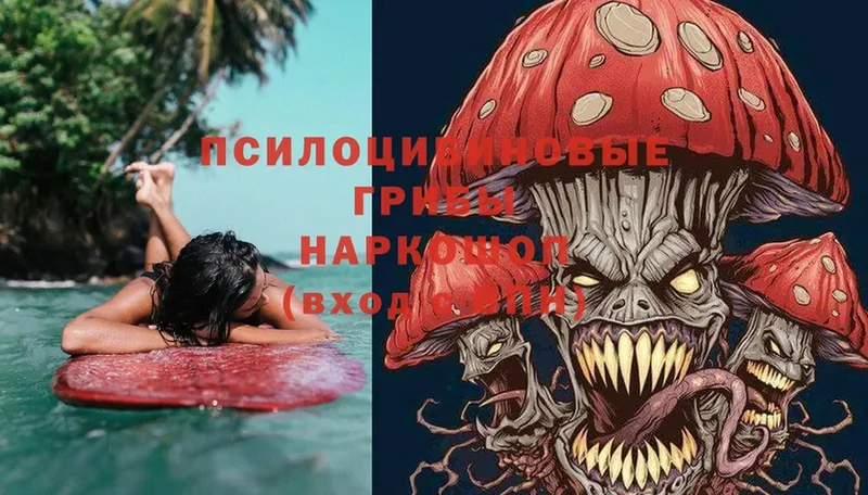 сайты даркнета формула  Дмитриев  Псилоцибиновые грибы MAGIC MUSHROOMS 